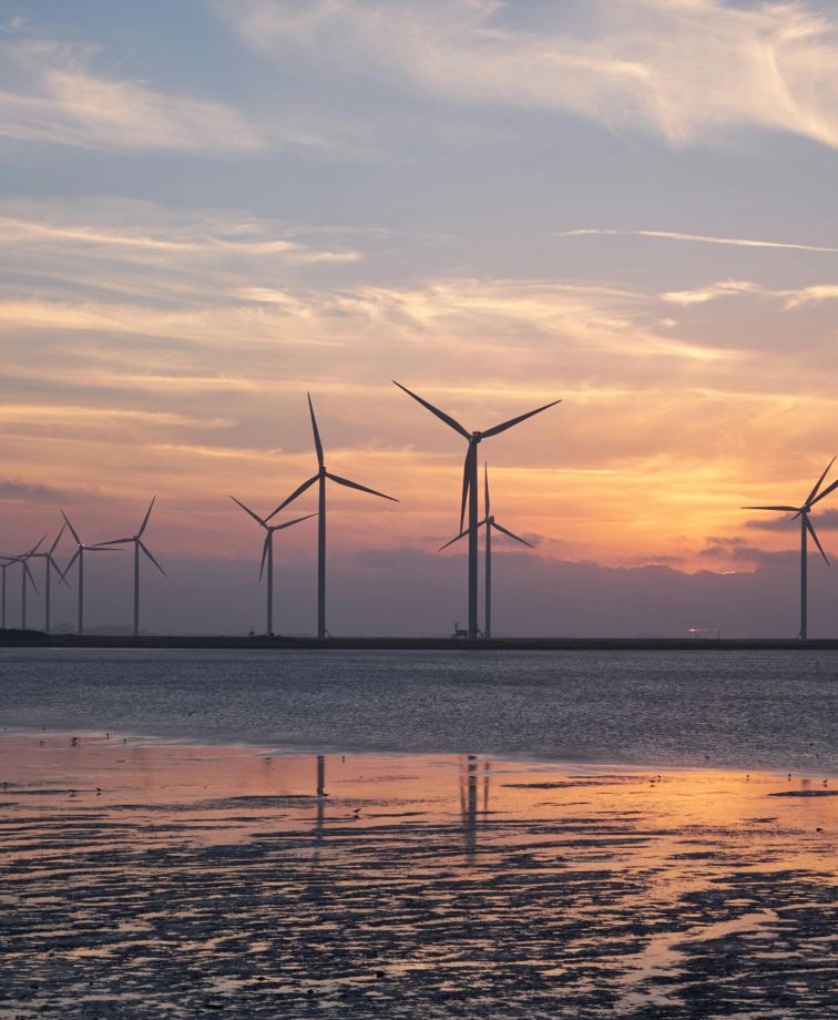 Kako izvesti projekt, ki predstavlja poseg v prostor in okolje